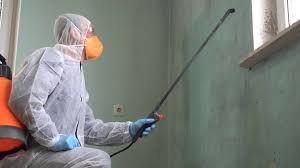 Why You Should Choose Our Mold Remediation Services in Richardson, TX