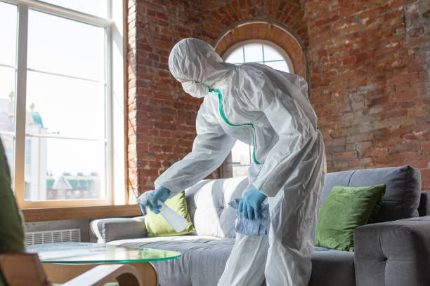 Professional Mold Removal in Richardson, TX